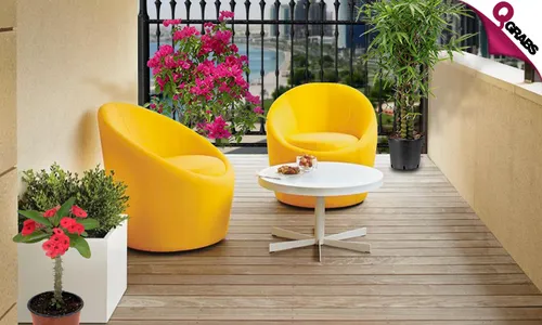 Outdoor Plants & Pots!